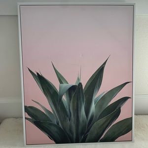 Succulent Canvas Picture